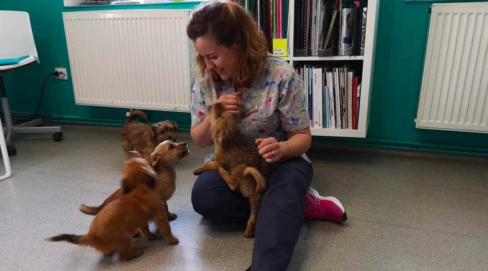 Tips & tricks pentru o experiență stress-free la veterinar