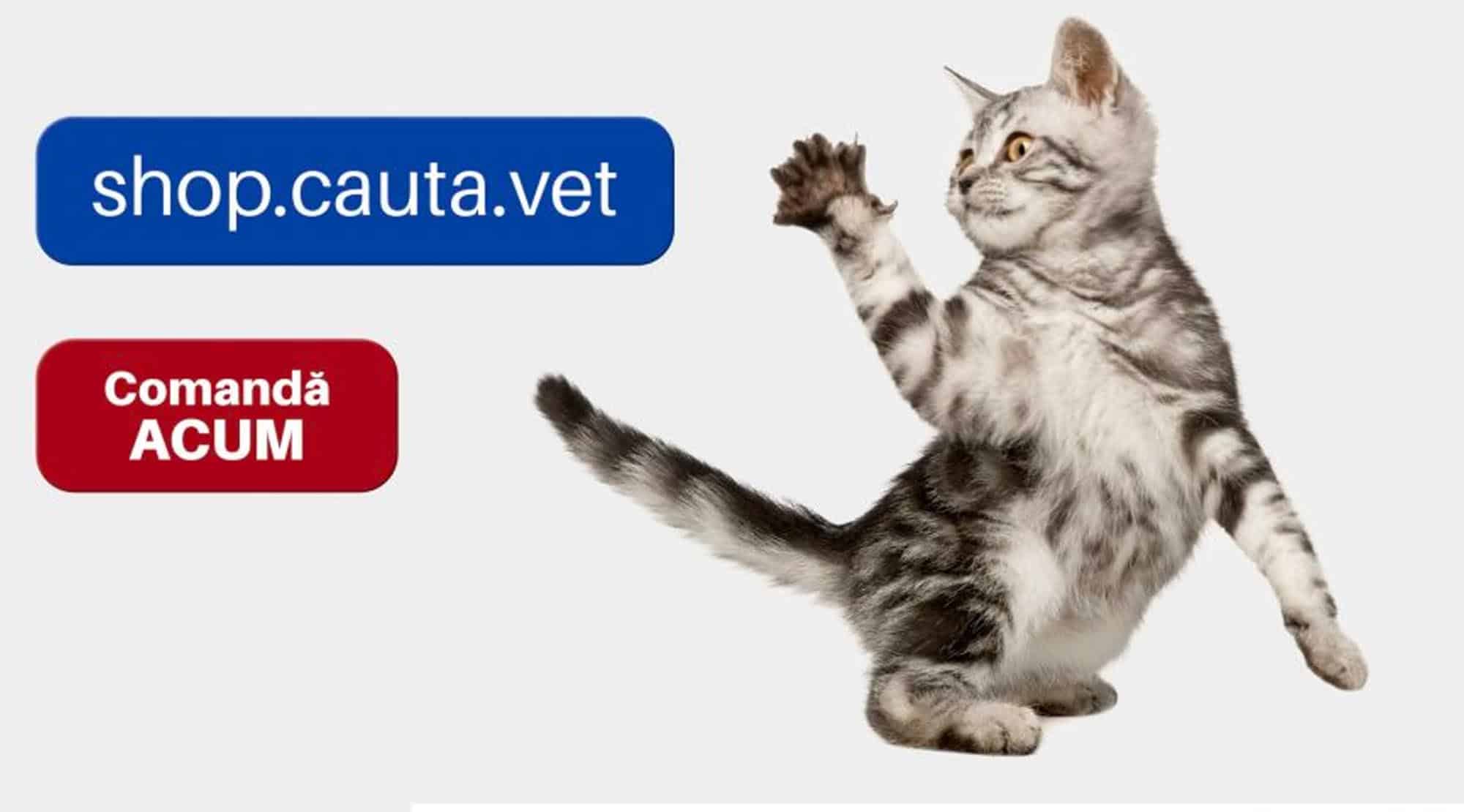 Protejat: Am lansat shop.cauta.vet în sprijinul tuturor membrilor comunității noastre!
