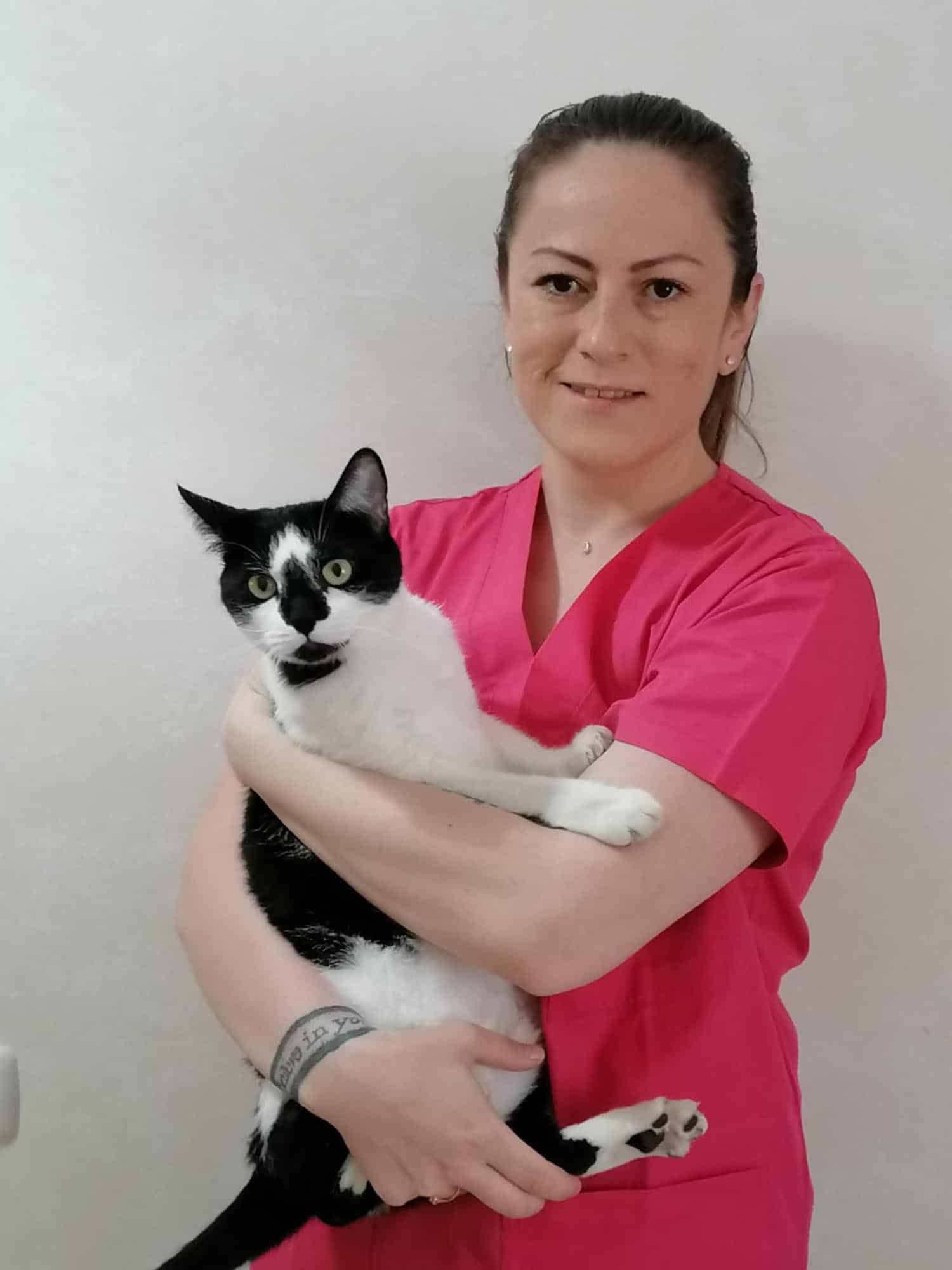 Sfaturi practice despre îngrijirea animalelor de companie în perioada pandemiei