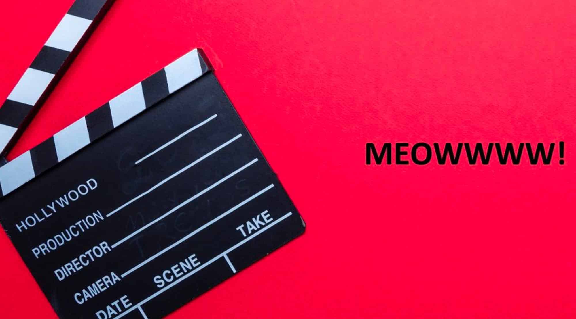 Ștrumfi, motanul cinefil