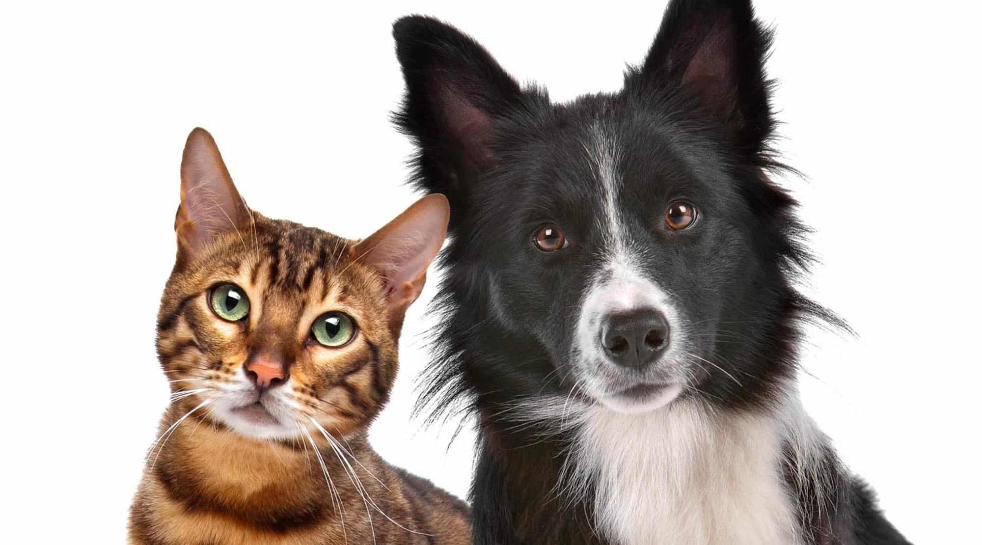 O vară fără prurit! 4 paşi în vindecarea pielii pruriginoase