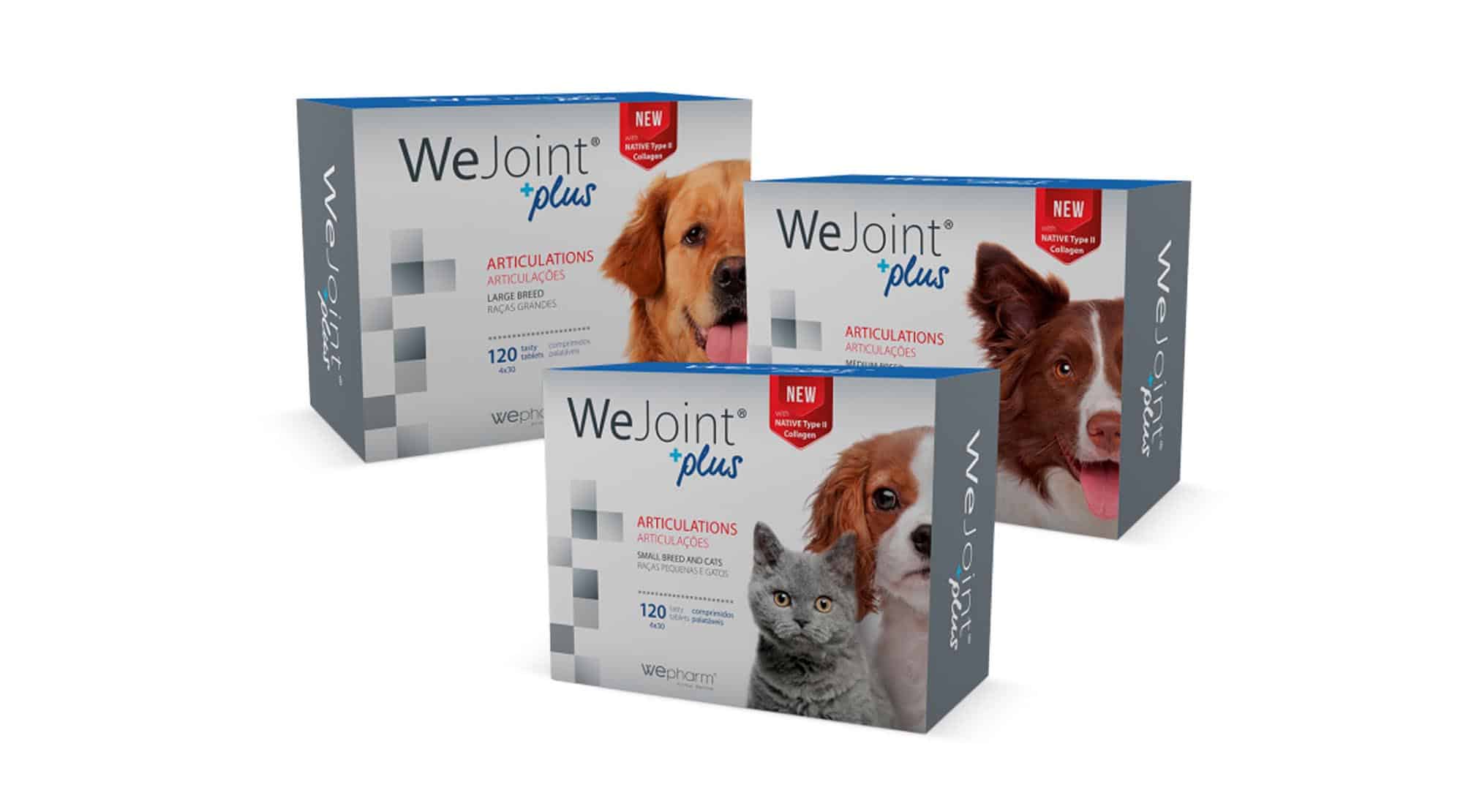 Probleme articulare_ Cu WeJoint® Plus, câinele tău se poate plimba în orice anotimp, fără dureri