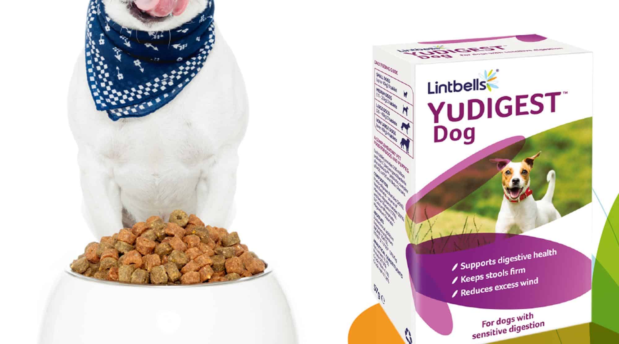 YUDIGEST de la Lintbells